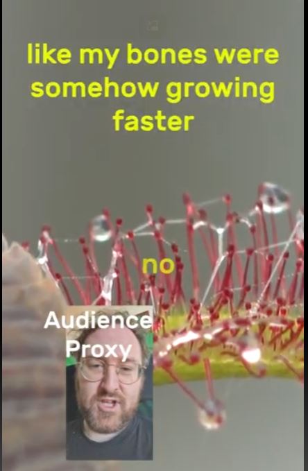 Screenshot of the Woodlouse video